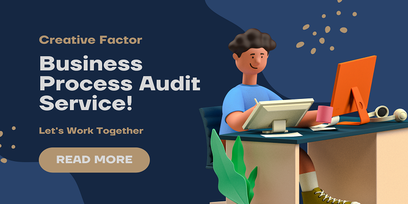 Strict adherence to Business Process Audit Service in India
