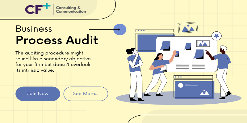  Everything you need to know about Business Process Audit