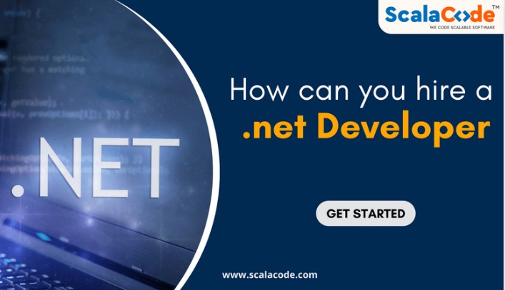  How Can You Hire a .net Developer?