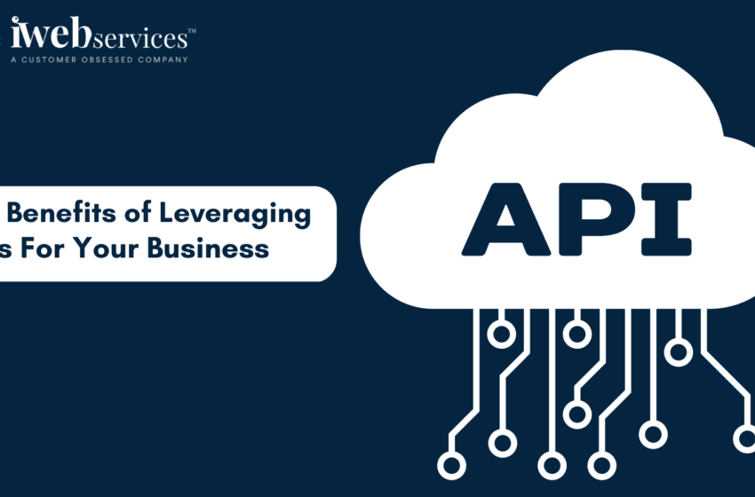  The Benefits of Leveraging APIs For Your Business