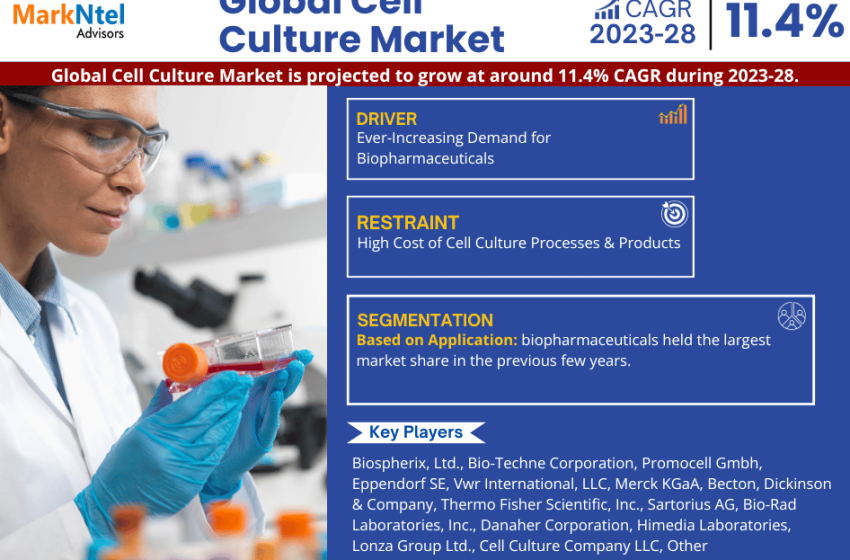  Cell Culture Market Trends, Share, Growth Drivers, Business Analysis and Future Investment 2028: Markntel Advisors