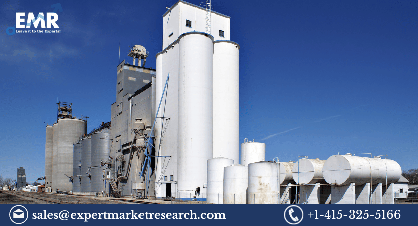  Grain Elevator Market Share, Size, Growth, Forecast 2024–2032