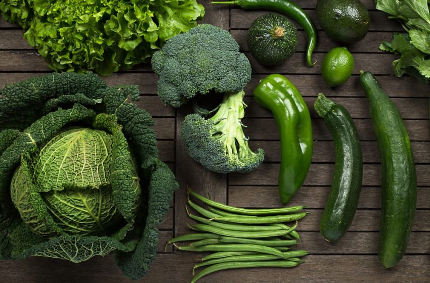 Benefits Of Fern Vegetables For Health
