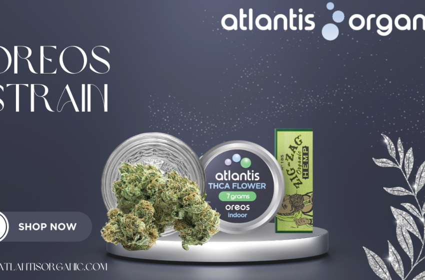  “Oreos Strain: Your Ultimate Go-To for THC and CBD Bliss!”