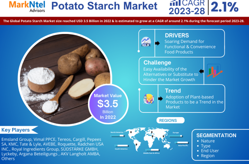  Potato Starch Market Growth, Trends, Revenue, Business Challenges and Future Share 2028: Markntel Advisors