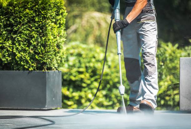  Transform Your Property: The Power of Pressure Washing in Brampton