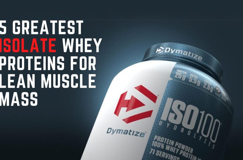  5 Best Whey Protein Isolate in India for Lean Muscle Mass