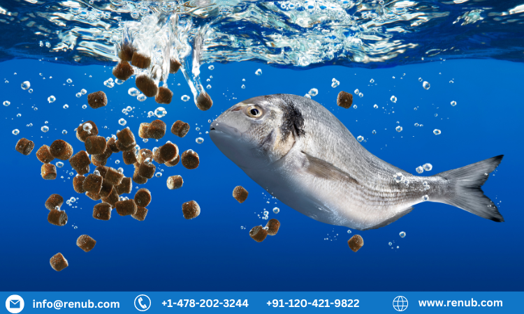  Fish Meal Market, Size, Global Forecast 2023-2030