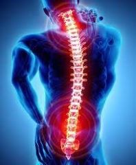 Decoding Back Pain: Understanding Common Factors