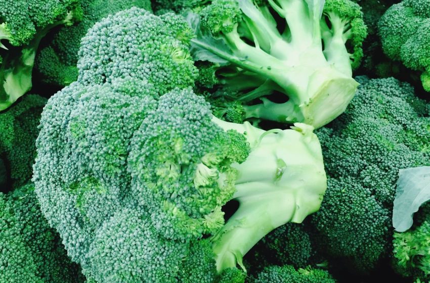  Broccoli Food Benefits For Men’s Erectile Dysfunction