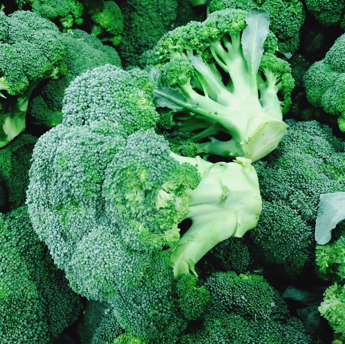 Broccoli Food Benefits For Men’s Erectile Dysfunction