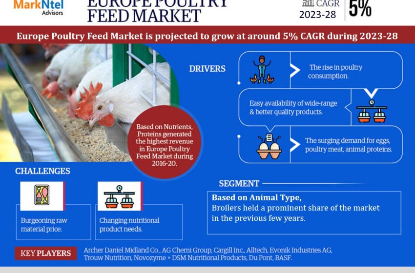  Europe Poultry Feed Market Trend, Size, Share, Trends, Growth, Report and Forecast 2023-2028
