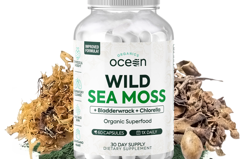  Incorporating Wild Sea Moss into Your Daily Wellness Routine in 2024