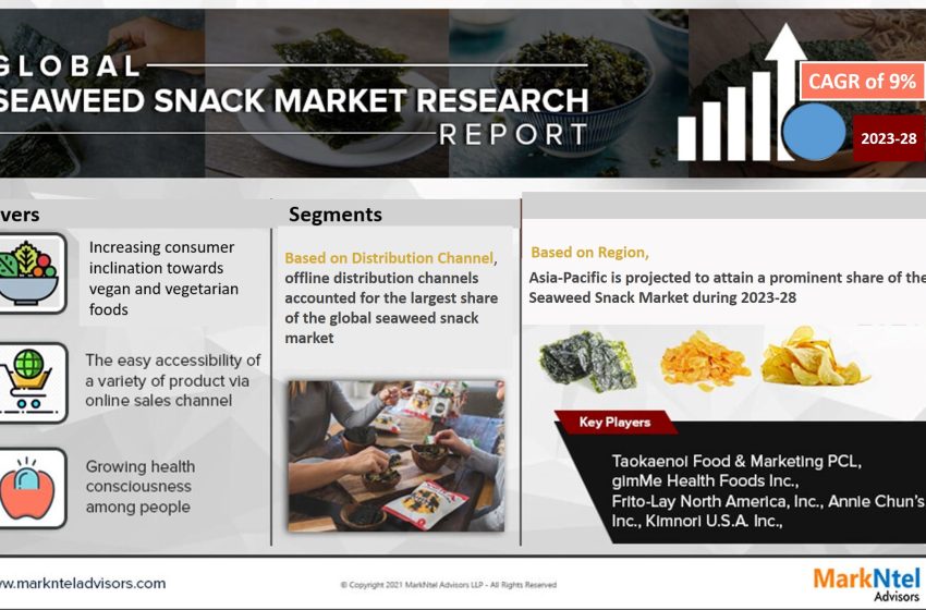  Global Seaweed Snack Market Trend, Size, Share, Trends, Growth, Report and Forecast 2023-2028