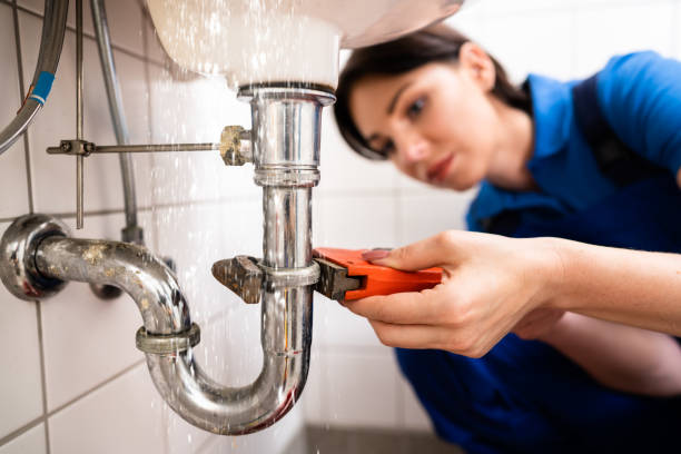  Plumbing Woes Solved: A Comprehensive Guide to Finding the Best Plumber in Taylors Lakes
