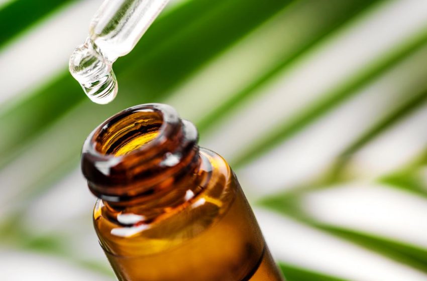  Harnessing the Power of Tea Tree Oil: Benefits, Uses, and Safety