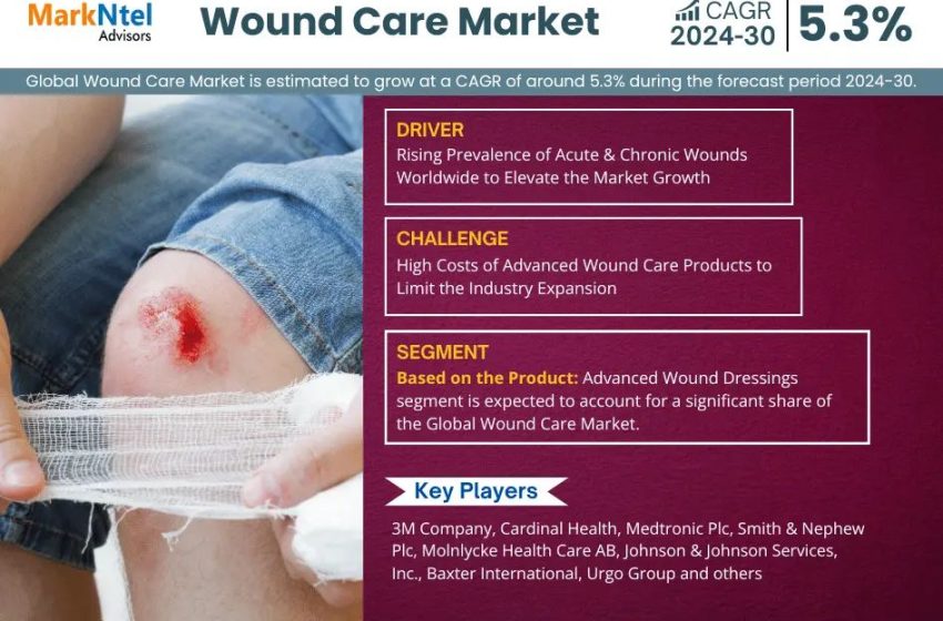  Wound Care Market Trend, Size, Share, Trends, Growth, Report and Forecast 2024-2030