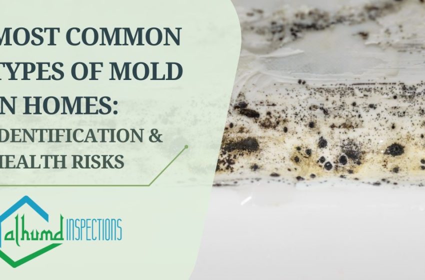  Mold inspection services are specialized evaluations performed to detect the presence of mold in homes, buildings, and other structures.