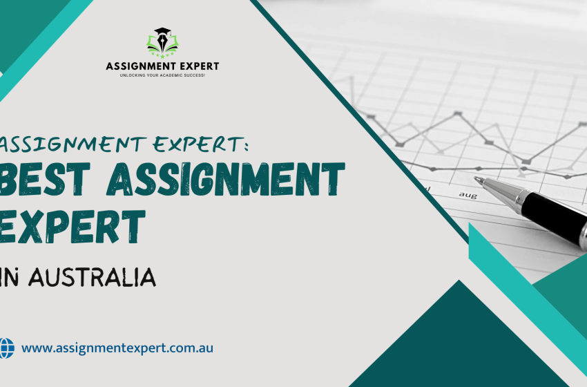  Assignment Expert Alchemy: Turning Stress into Success with the Right Writing Partner