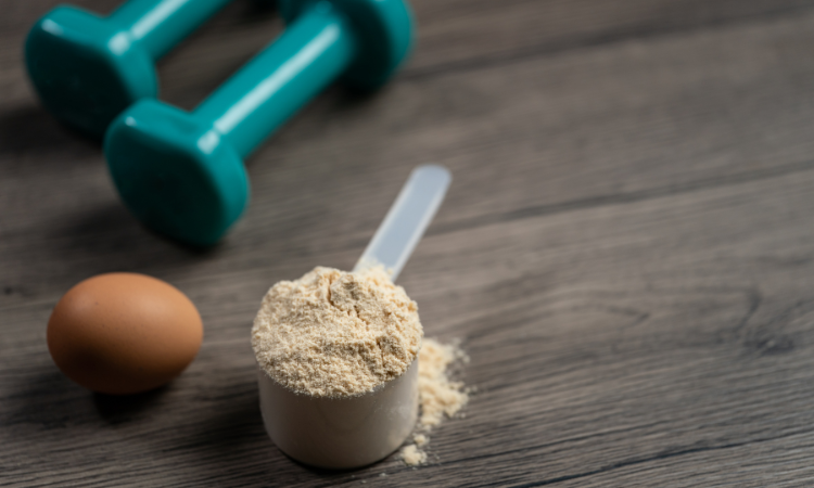  Egg Powder Market Size, Share And Growth Forecast 2024-2030