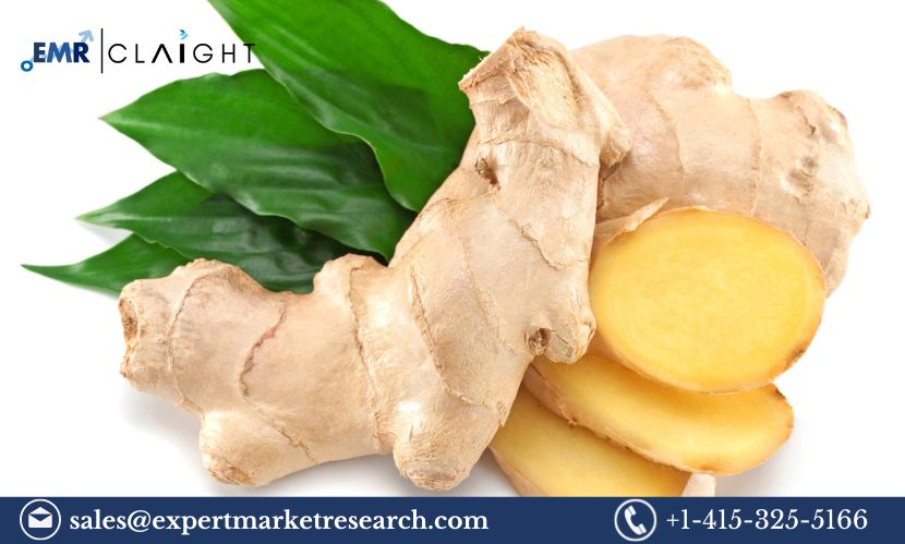  Ginger Market Size, Share, Trends and Industry Report 2024-2032