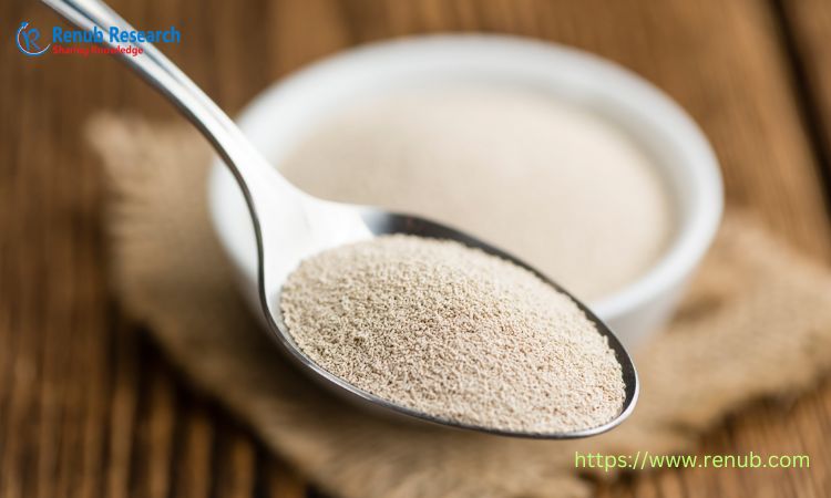  Global Yeast Market Size, Share And Growth Forecast 2024-2030