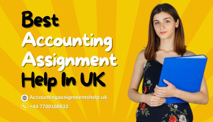  The Importance of Professional Accounting Assignment Help