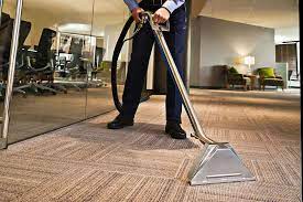  Beyond Vacuuming: Delving into the Essence of Carpet Cleaning