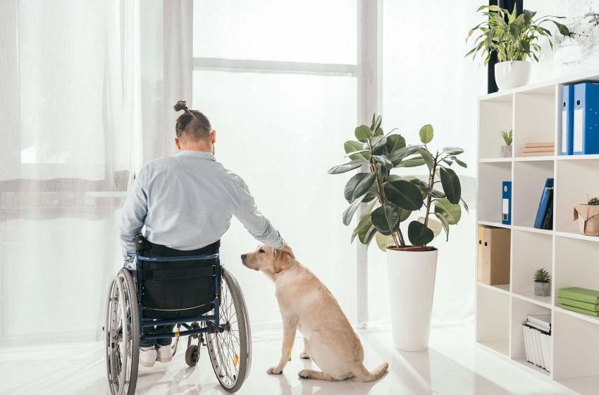  7 Key Factors to Consider When Selecting NDIS Accommodation