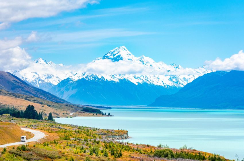  What You Need to Know Before You Go Hunting in New Zealand