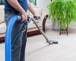  Dust Bunnies Begone: Carpet Cleaning and Allergen Control
