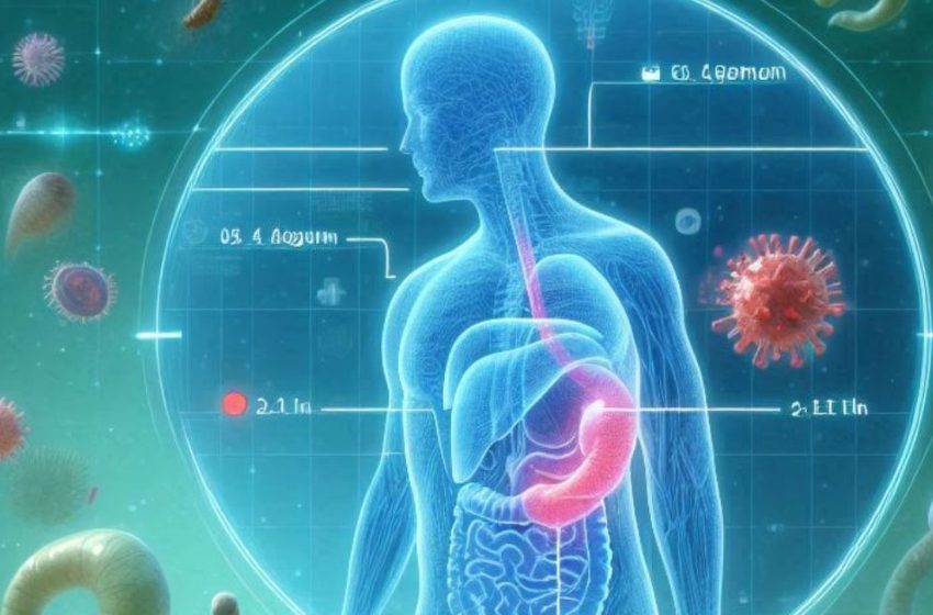  Exploring the Gut Microbiota’s Function in Weight Management