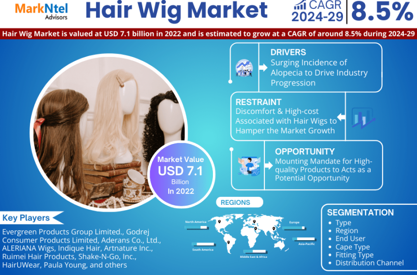  Hair Wig Market Analysis, Size, Share, Trend and Forecast 2029