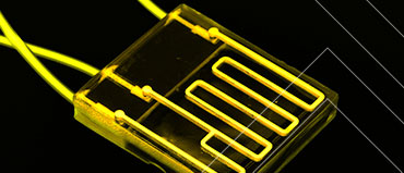  Organs-on-chips Market to Witness Steady Growth in the Near Future