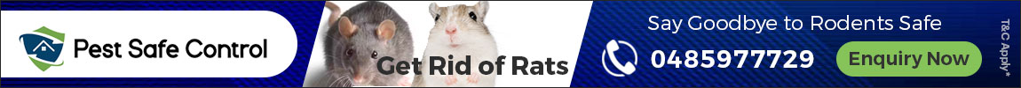 Keep Your Home Safe with Expert Rodent Control in Melbourne