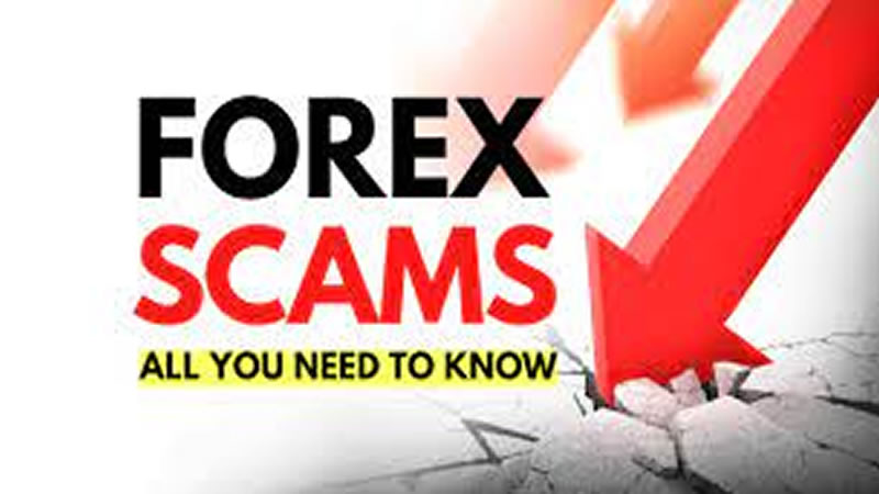  Forex Scammers: How to Identify Them