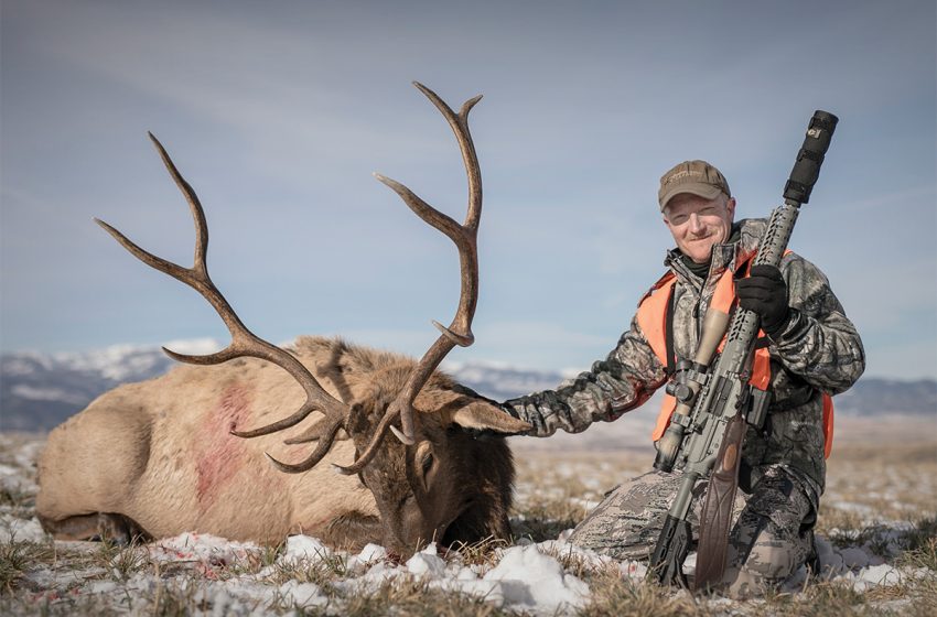  What Makes Red Stag Hunting the Ultimate Challenge for Adventure Seekers?