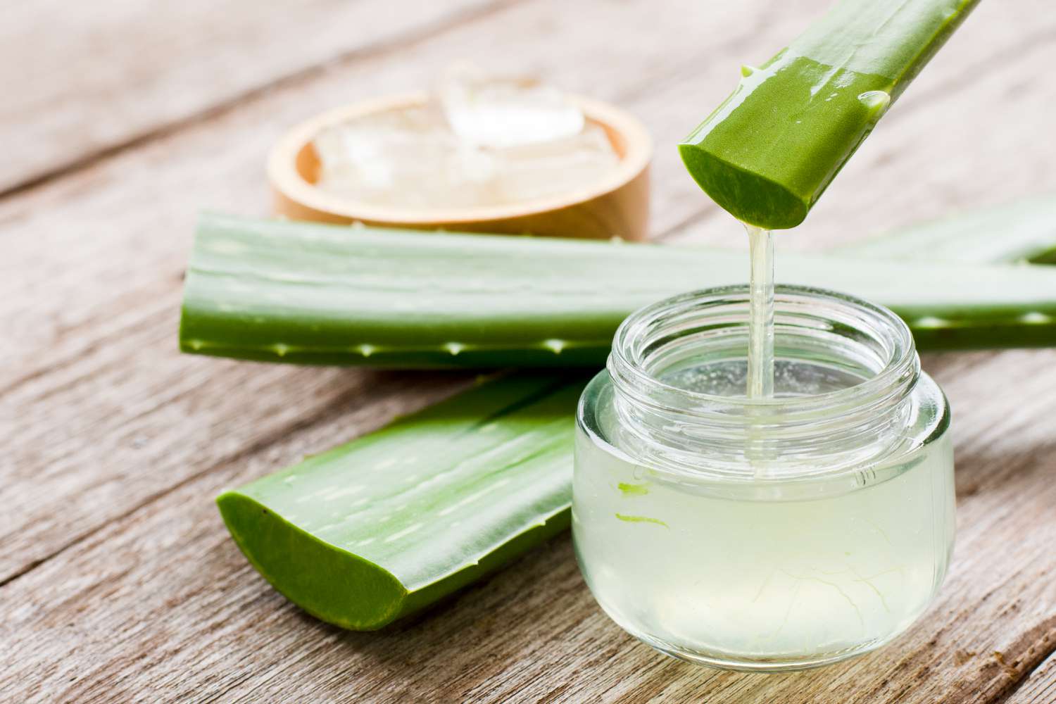 Aloe Vera Health Benefits