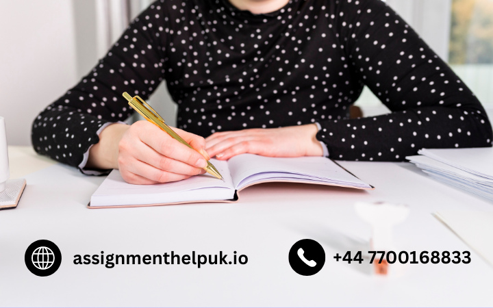  Why Assignment Help is Essential for Students