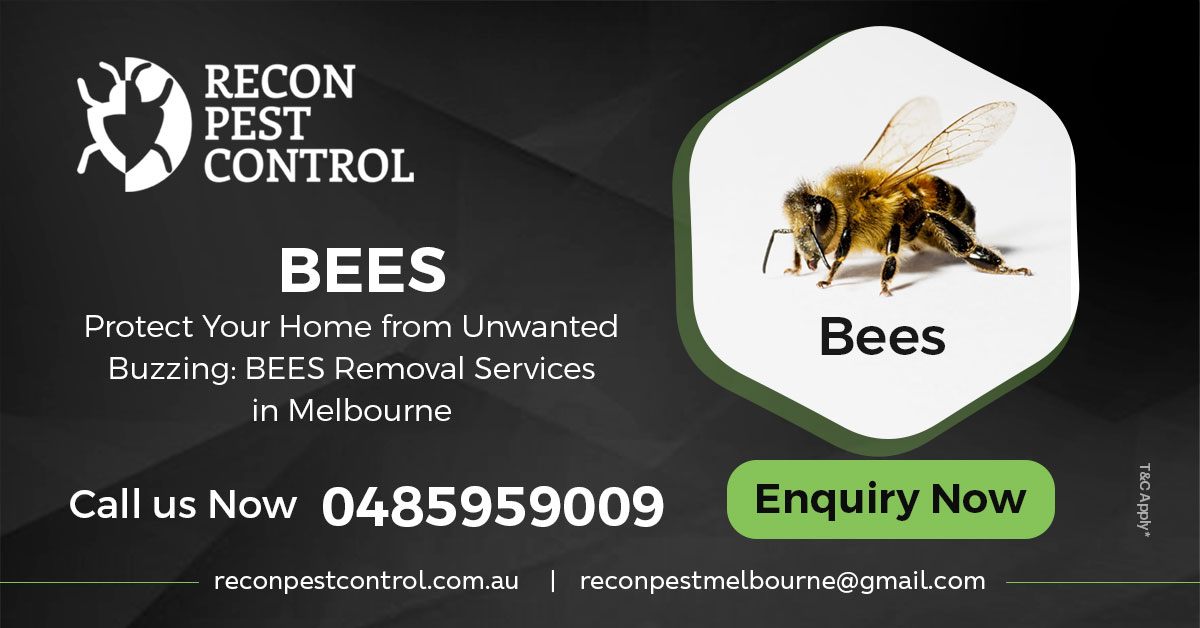 Effective Pest Control in Melbourne with Recon Pest Control