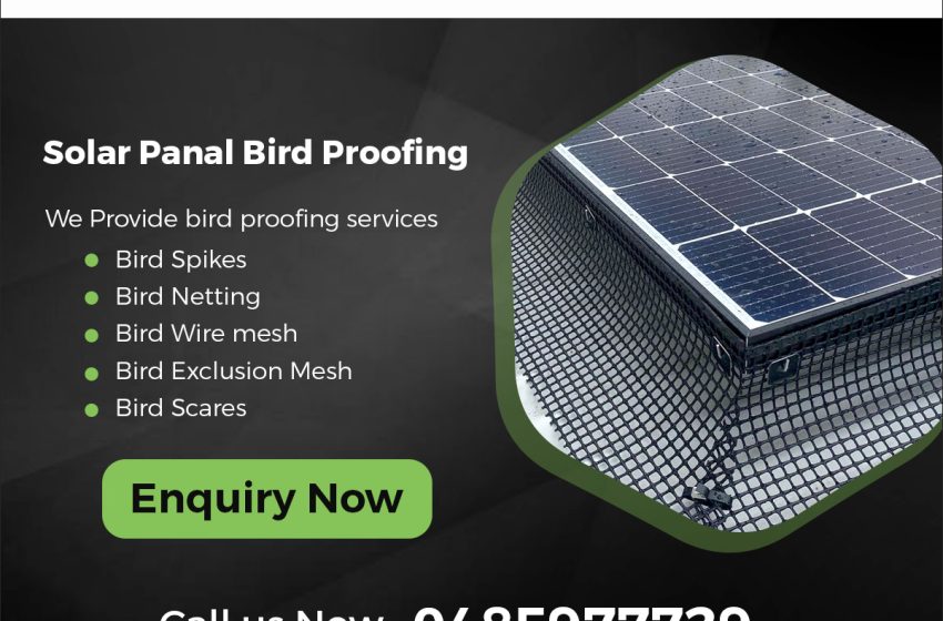  The Importance of Solar Panel Bird Proofing in Melbourne