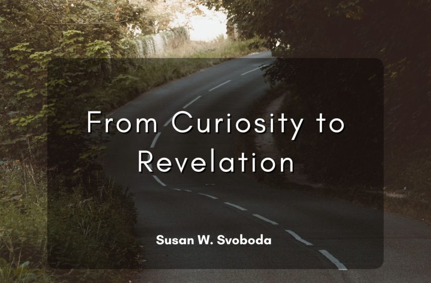  From Curiosity to Revelation— A Scientist’s Journey