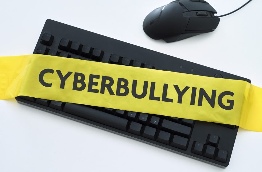  Combating Cyberbullying