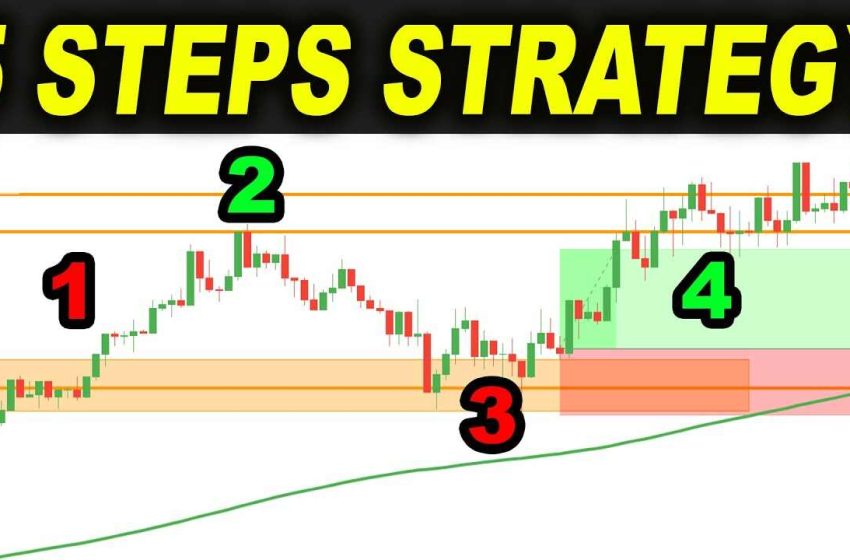  Learning the Essentials of Forex Trading Options