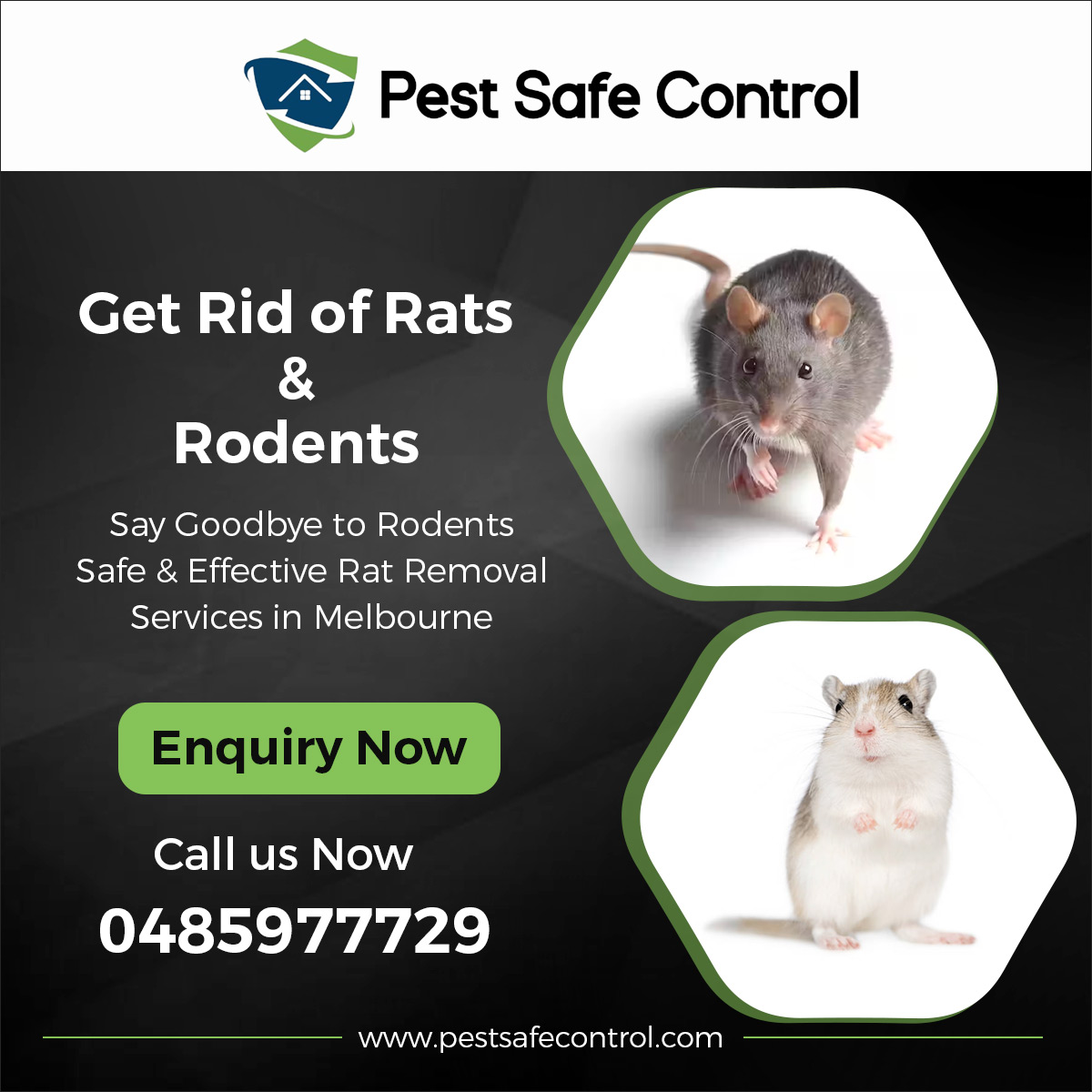 Choosing the Right Rodent Control Service in Melbourne: What to Consider