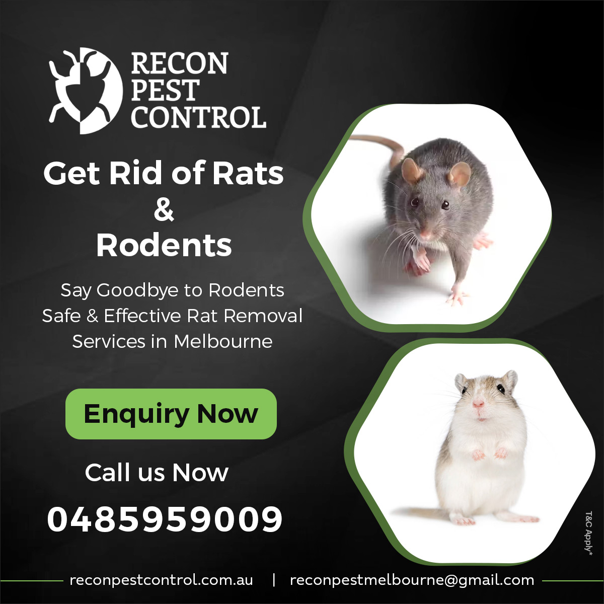 The Hidden Dangers of DIY Rodent Control: Why Melbourne Residents Should Leave it to Professionals