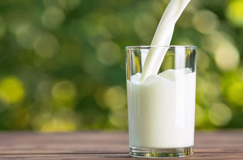  Detailed Analysis for Setting up a Skimmed Milk Manufacturing Plant | Report by IMARC Group