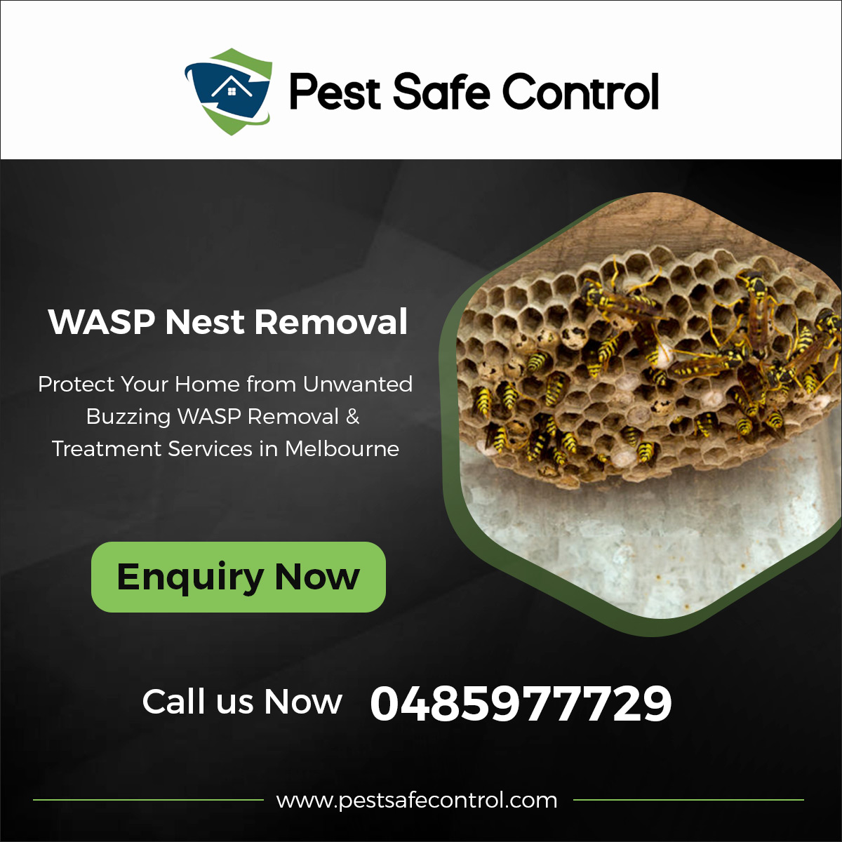 The Importance of Timely Wasp Nest Removal in Melbourne