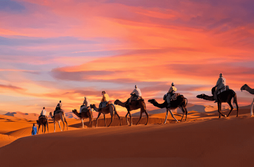  Things to Do When You Try Morning Desert Safari in Dubai