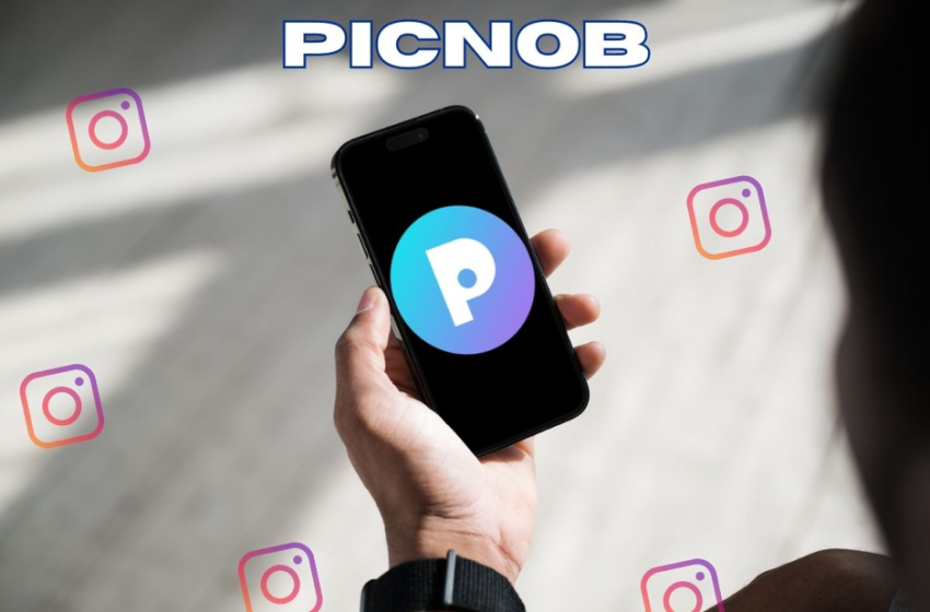  A Deep Dive into Picnob’s Unique Offerings